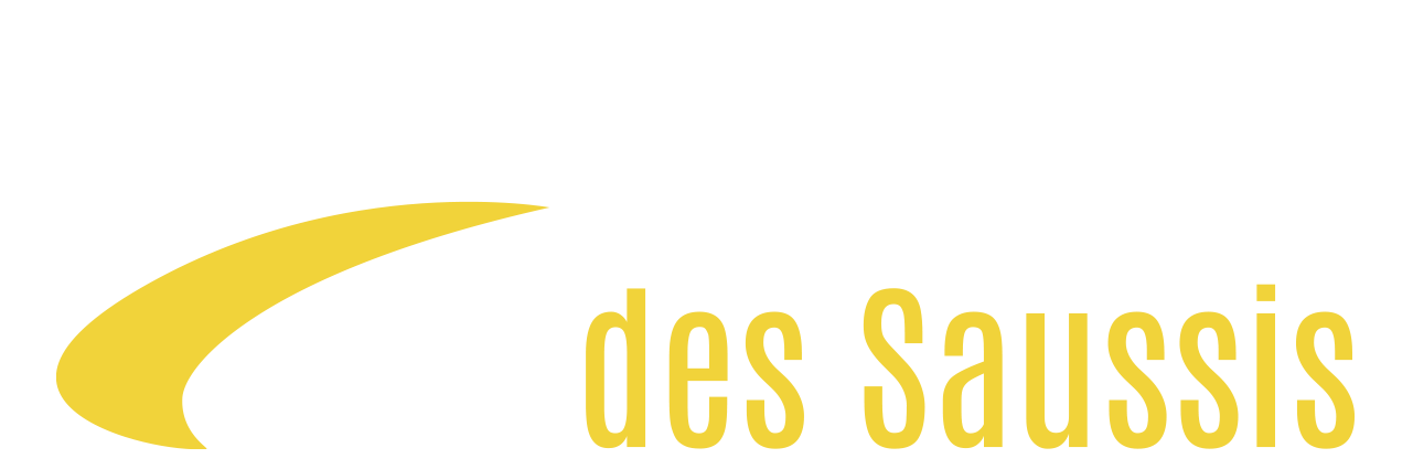 Logo Actipôle des Saussis